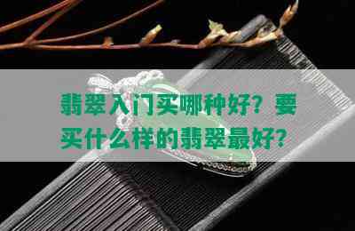 翡翠入门买哪种好？要买什么样的翡翠更好？