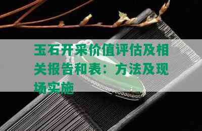 玉石开采价值评估及相关报告和表：方法及现场实施