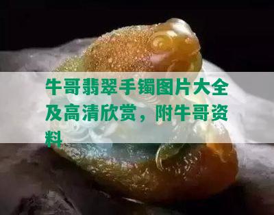 牛哥翡翠手镯图片大全及高清欣赏，附牛哥资料