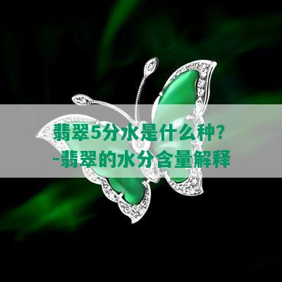 翡翠5分水是什么种？-翡翠的水分含量解释