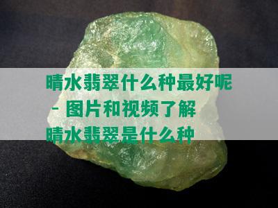 晴水翡翠什么种更好呢 - 图片和视频了解晴水翡翠是什么种