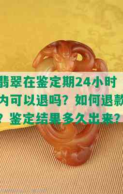 翡翠在鉴定期24小时内可以退吗？如何退款？鉴定结果多久出来？