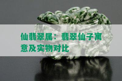 仙翡翠属：翡翠仙子寓意及实物对比