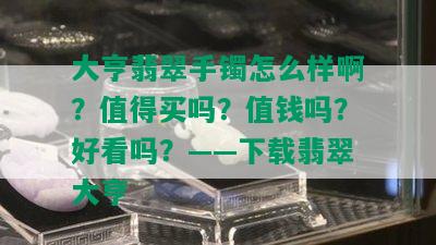 大亨翡翠手镯怎么样啊？值得买吗？值钱吗？好看吗？——下载翡翠大亨