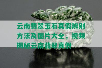 云南翡翠玉石真假辨别方法及图片大全，视频揭秘云南翡翠真假