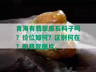 青海有翡翠原石料子吗？价位如何？区别何在？附翡翠图片。