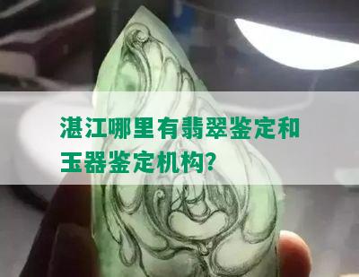 湛江哪里有翡翠鉴定和玉器鉴定机构？