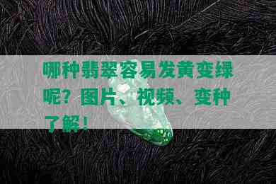 哪种翡翠容易发黄变绿呢？图片、视频、变种了解！