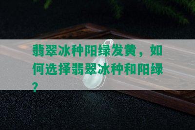 翡翠冰种阳绿发黄，如何选择翡翠冰种和阳绿？