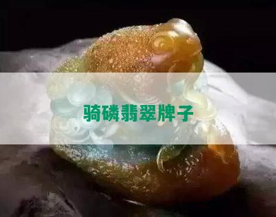 骑磷翡翠牌子