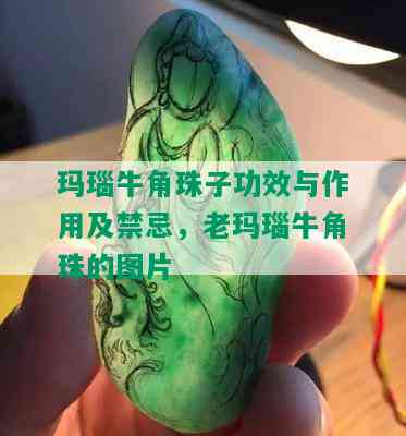 玛瑙牛角珠子功效与作用及禁忌，老玛瑙牛角珠的图片