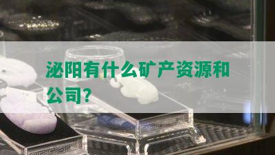 泌阳有什么矿产资源和公司？