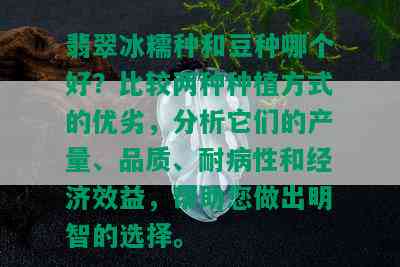 翡翠冰糯种和豆种哪个好？比较两种种植方式的优劣，分析它们的产量、品质、耐病性和经济效益，帮助您做出明智的选择。