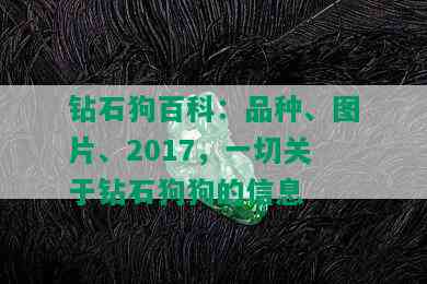 钻石狗百科：品种、图片、2017，一切关于钻石狗狗的信息