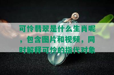 可怜翡翠是什么生肖呢，包含图片和视频，同时解释可怜的指代对象