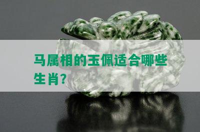 马属相的玉佩适合哪些生肖？