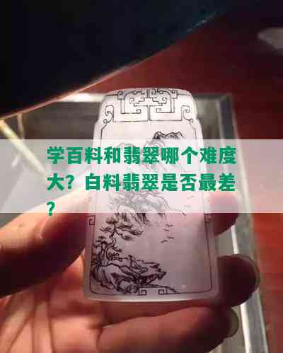 学百料和翡翠哪个难度大？白料翡翠是否最差？