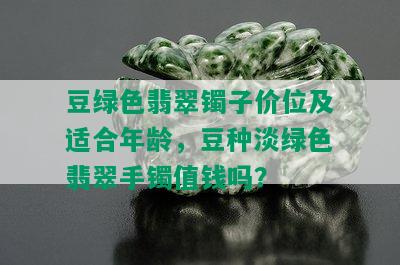 豆绿色翡翠镯子价位及适合年龄，豆种淡绿色翡翠手镯值钱吗？