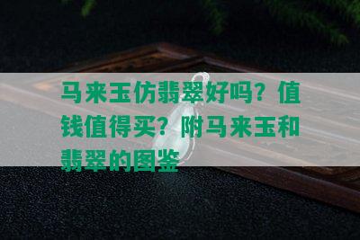 马来玉仿翡翠好吗？值钱值得买？附马来玉和翡翠的图鉴