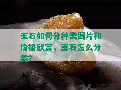 玉石如何分种类图片和价格欣赏，玉石怎么分类？