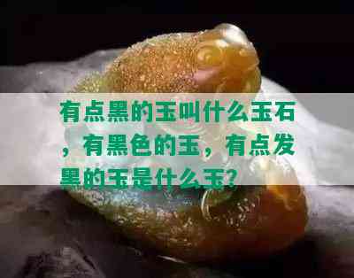 有点黑的玉叫什么玉石，有黑色的玉，有点发黑的玉是什么玉？