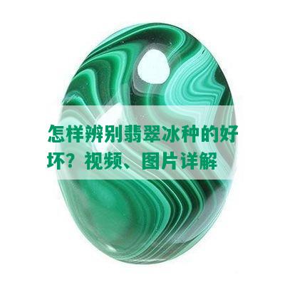 怎样辨别翡翠冰种的好坏？视频、图片详解