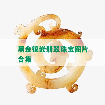 黑金镶嵌翡翠珠宝图片合集