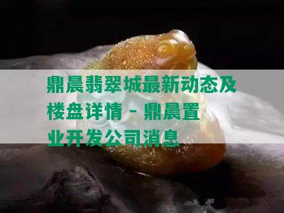 鼎晨翡翠城最新动态及楼盘详情 - 鼎晨置业开发公司消息