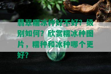 翡翠糯冰种好不好？级别如何？欣赏糯冰种图片，糯种和冰种哪个更好？