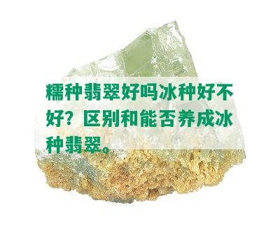 糯种翡翠好吗冰种好不好？区别和能否养成冰种翡翠。