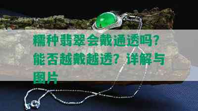 糯种翡翠会戴通透吗？能否越戴越透？详解与图片