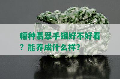 糯种翡翠手镯好不好看？能养成什么样？