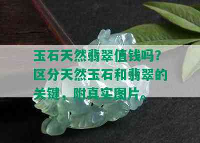 玉石天然翡翠值钱吗？区分天然玉石和翡翠的关键，附真实图片。