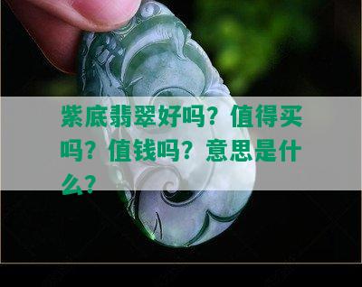 紫底翡翠好吗？值得买吗？值钱吗？意思是什么？