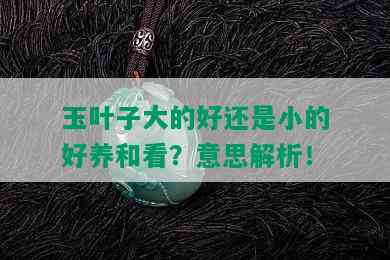 玉叶子大的好还是小的好养和看？意思解析！