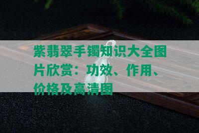 紫翡翠手镯知识大全图片欣赏：功效、作用、价格及高清图