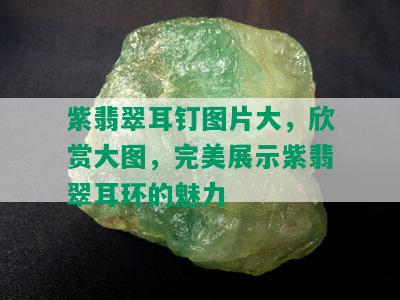 紫翡翠耳钉图片大，欣赏大图，完美展示紫翡翠耳环的魅力