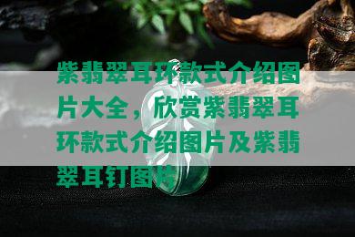 紫翡翠耳环款式介绍图片大全，欣赏紫翡翠耳环款式介绍图片及紫翡翠耳钉图片