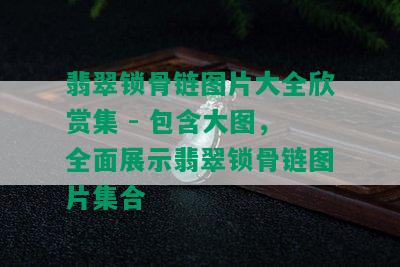 翡翠锁骨链图片大全欣赏集 - 包含大图，全面展示翡翠锁骨链图片集合