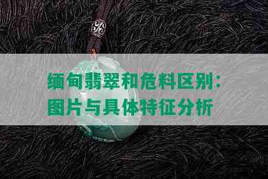 缅甸翡翠和危料区别：图片与具体特征分析