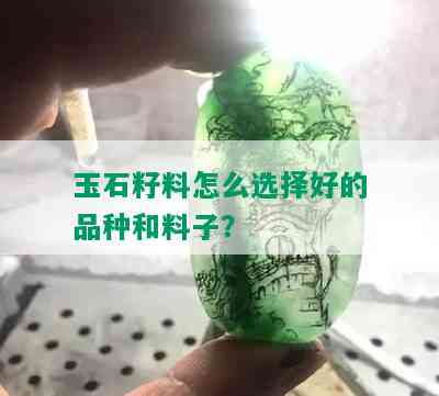 玉石籽料怎么选择好的品种和料子？