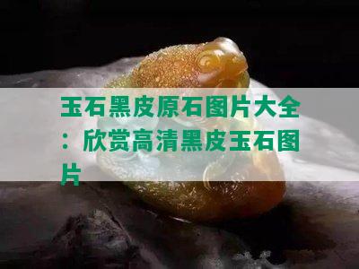 玉石黑皮原石图片大全：欣赏高清黑皮玉石图片