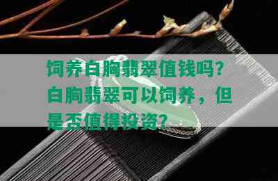 饲养白胸翡翠值钱吗？白胸翡翠可以饲养，但是否值得投资？