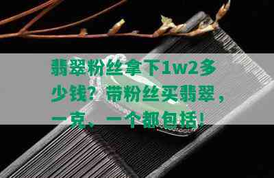 翡翠粉丝拿下1w2多少钱？带粉丝买翡翠，一克、一个都包括！