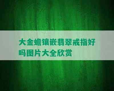 大金蟾镶嵌翡翠戒指好吗图片大全欣赏