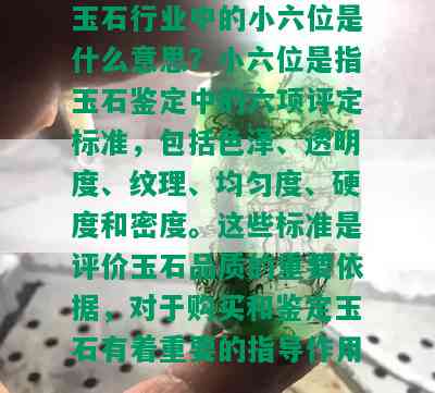 玉石行业中的小六位是什么意思？小六位是指玉石鉴定中的六项评定标准，包括色泽、透明度、纹理、均匀度、硬度和密度。这些标准是评价玉石品质的重要依据，对于购买和鉴定玉石有着重要的指导作用。