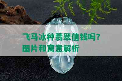 飞马冰种翡翠值钱吗？图片和寓意解析