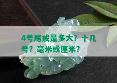 4号尾戒是多大？十几号？毫米或厘米？