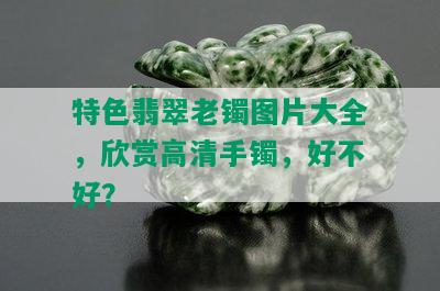 特色翡翠老镯图片大全，欣赏高清手镯，好不好？