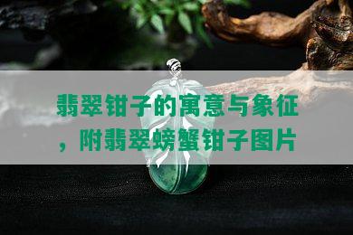 翡翠钳子的寓意与象征，附翡翠螃蟹钳子图片